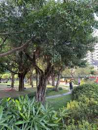 Taipei’s hidden gems and world-class eats await!