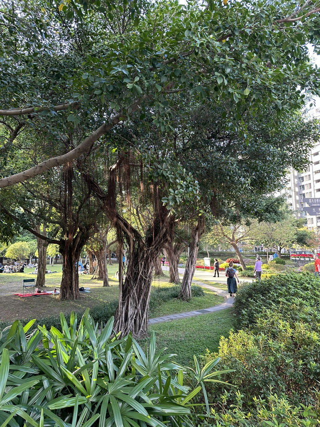 Taipei’s hidden gems and world-class eats await!