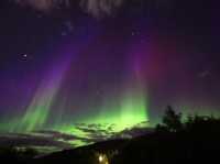 Aurora Magic Awaits🌌