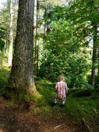 Benmore Botanic Garden, Dunoon – A Forest of Giants and Calm