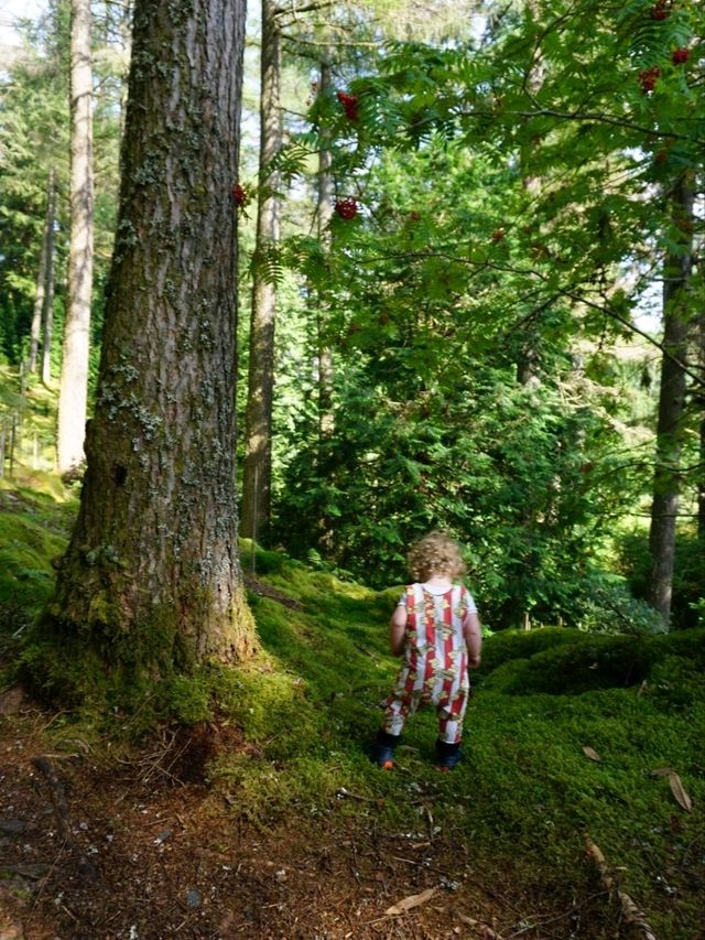 Benmore Botanic Garden, Dunoon – A Forest of Giants and Calm
