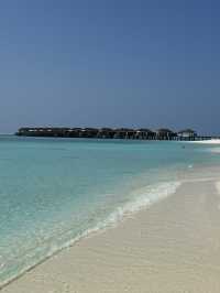 Avani+ Fares Maldives — Where Modern Vibes Meet Wild Ocean Magic