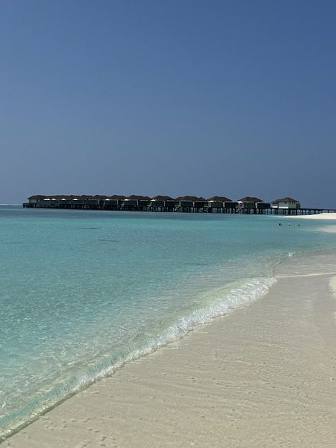 Avani+ Fares Maldives — Where Modern Vibes Meet Wild Ocean Magic