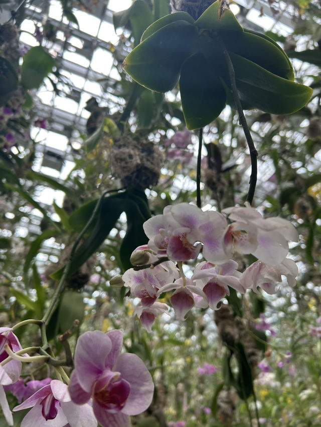 TeamLab Wonders✨   TeamLab Wonders✨