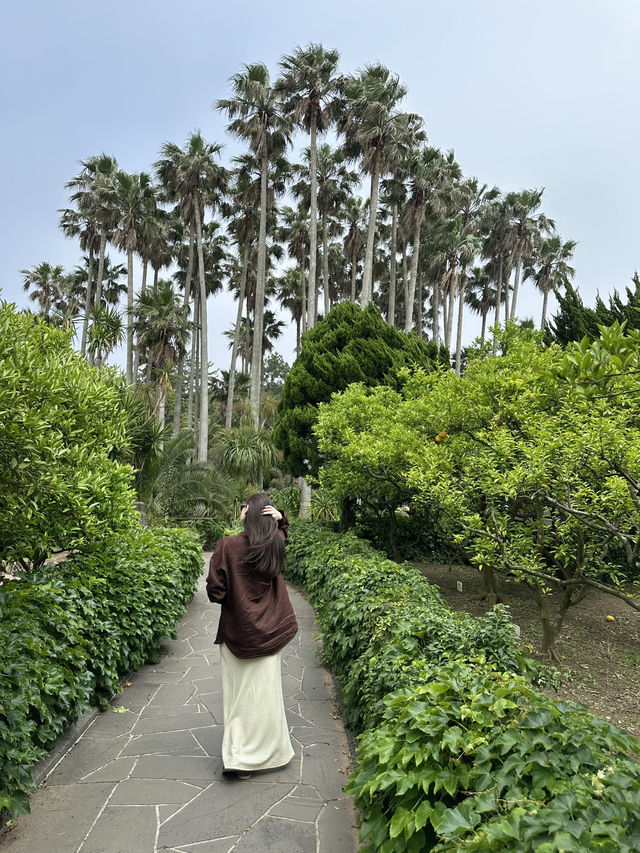Nature Unveiled๐ณ  Hallim Park in Jeju Nature Unveiled๐ณ  Hallim Park in Jeju