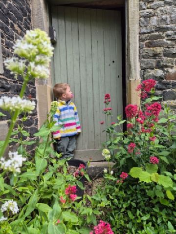 和諧花園，梅爾羅斯——修道院旁的寧靜避風港