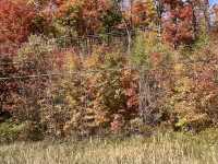 Algonquin Provincial Park