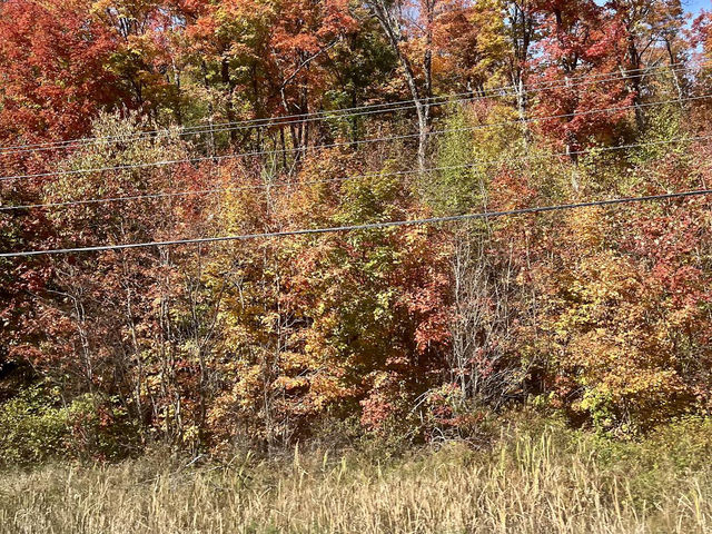 Algonquin Provincial Park Algonquin Provincial Park