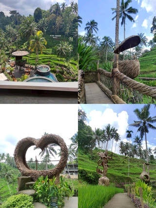 Alas Harum Bali took so many photos that my memory card was full.