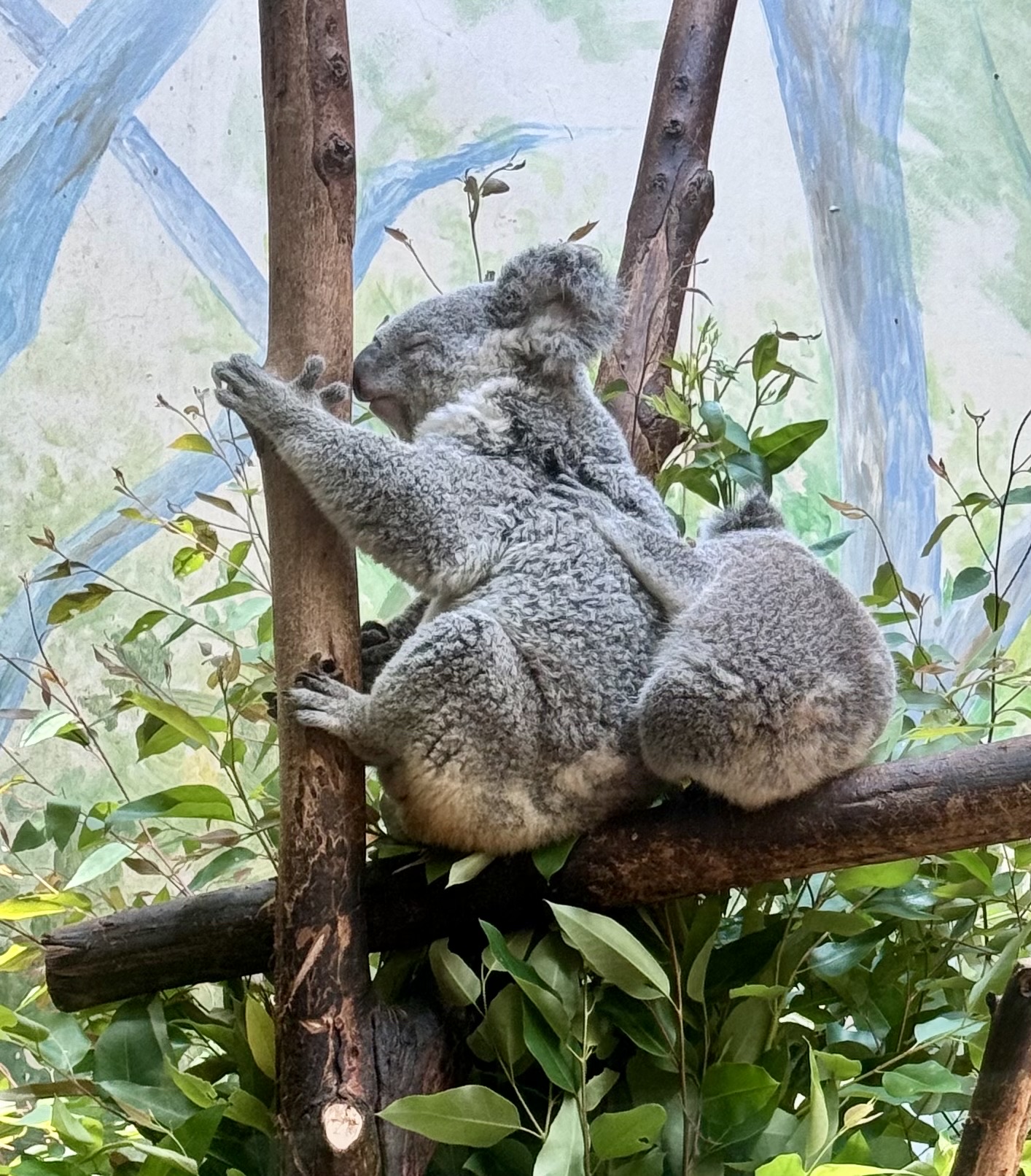 熊貓、無尾熊和狩獵火車！ 🐼🐨🦒 |廣州長隆野生動物世界