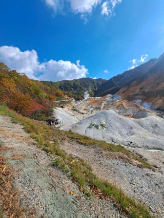 Explore a classic Hokkaido day trip with Trip.com – the perfect blend of beautiful scenery and a comfortable journey.