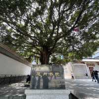 打卡深圳思月書院