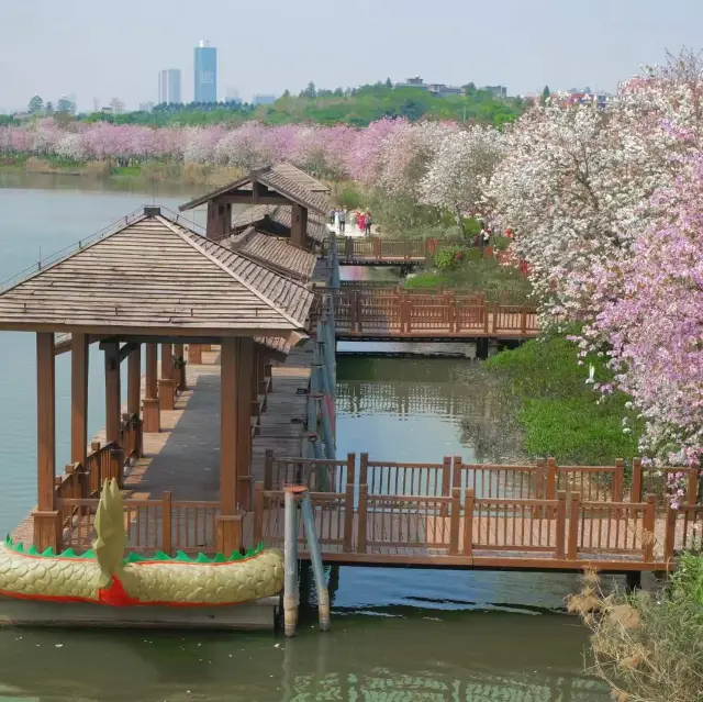 打卡廣州海珠國家濕地公園