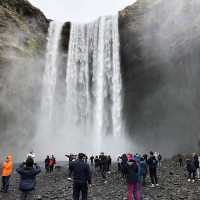 Nature in Iceland!