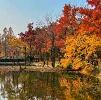 蘇州の紅葉の名所といえば「天平山」