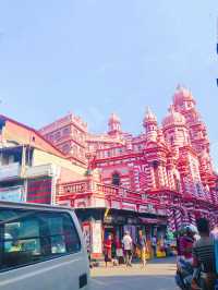 Pluck 🌿 the pink mosque 🕌 in Colombo.