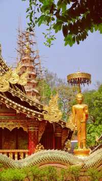 Chiang Mai's largest meditation center, a place where you can truly calm down.