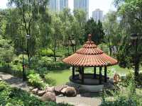 Hong Kong Deep Tour - Sha Tin Central Park
