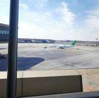 Flying from Johannesburg
