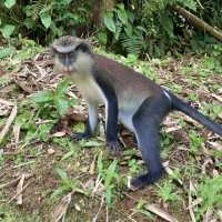 A little tour around Grenada 