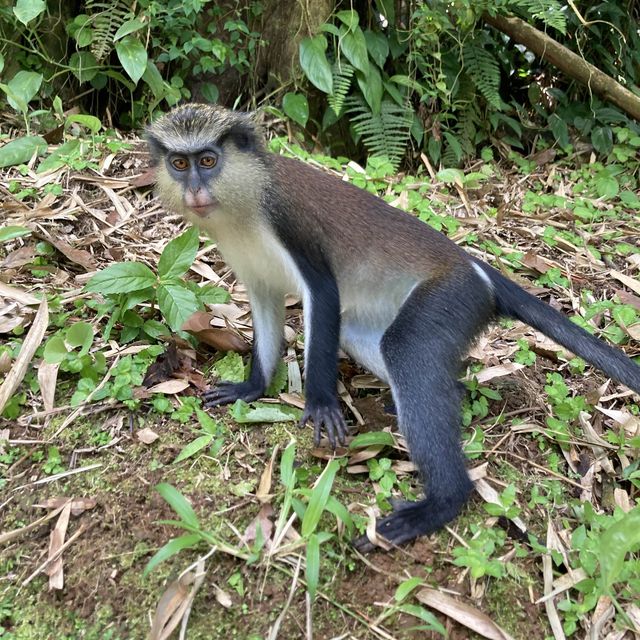 A little tour around Grenada 