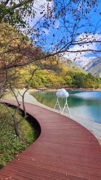 文縣天池秋季萬山紅遍