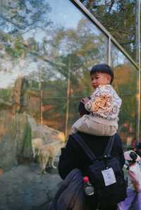 親子好去處溫州景山動物園爬山看動物