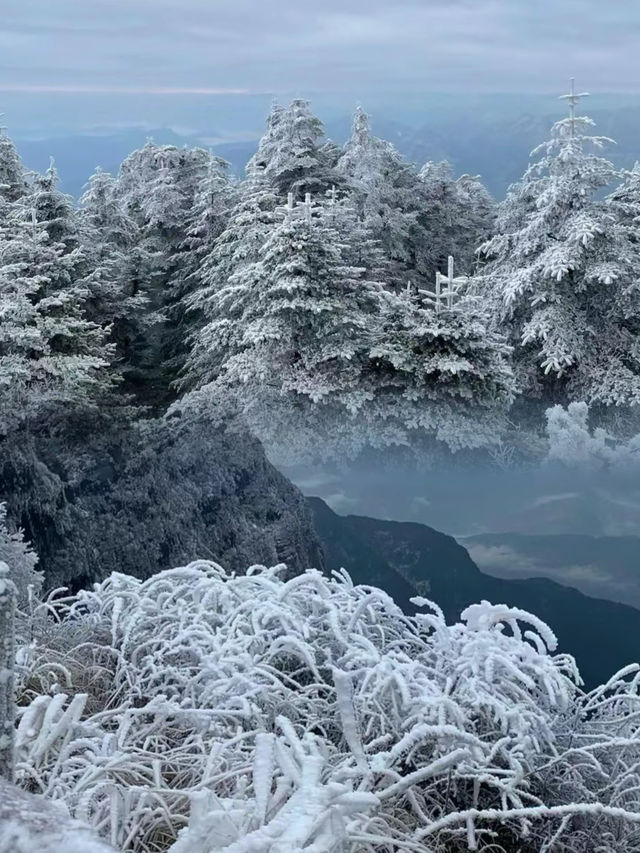 雲端之上的金頂