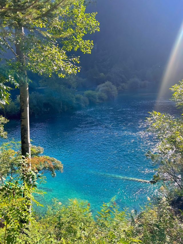 川西最美旅行地，最【九寨溝】保姆級攻略推薦