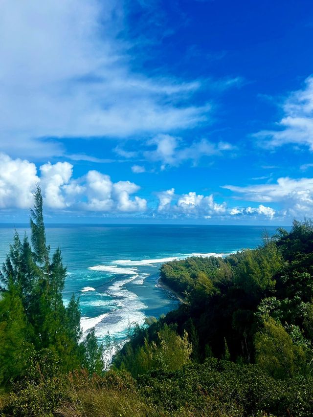 我決定逃離寒冷的城市，來到夏威夷的可愛島，享受一段美好的假日