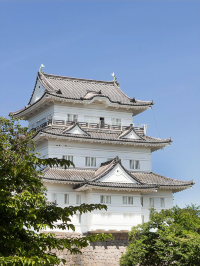 Find Serenity at Odawara Castle 🍵