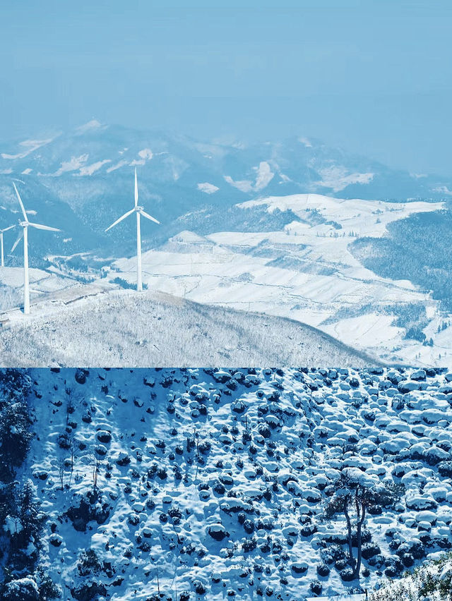 踏雪無痕東白山