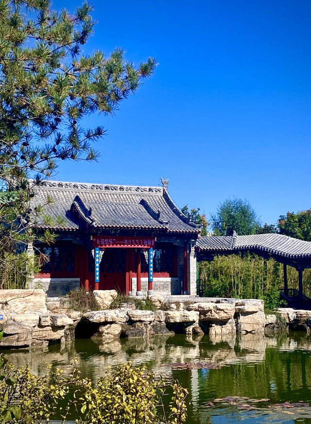 太原雙塔公園秋景（一）