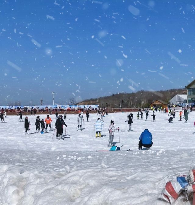 竹林畔滑雪場是西安市最大的滑雪場