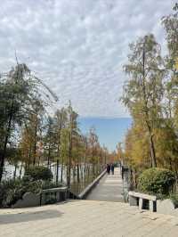 華陽湖水上森林公園