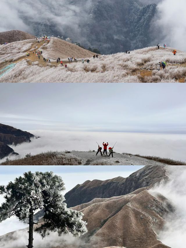 雲海日出|福建人有自己的武功山