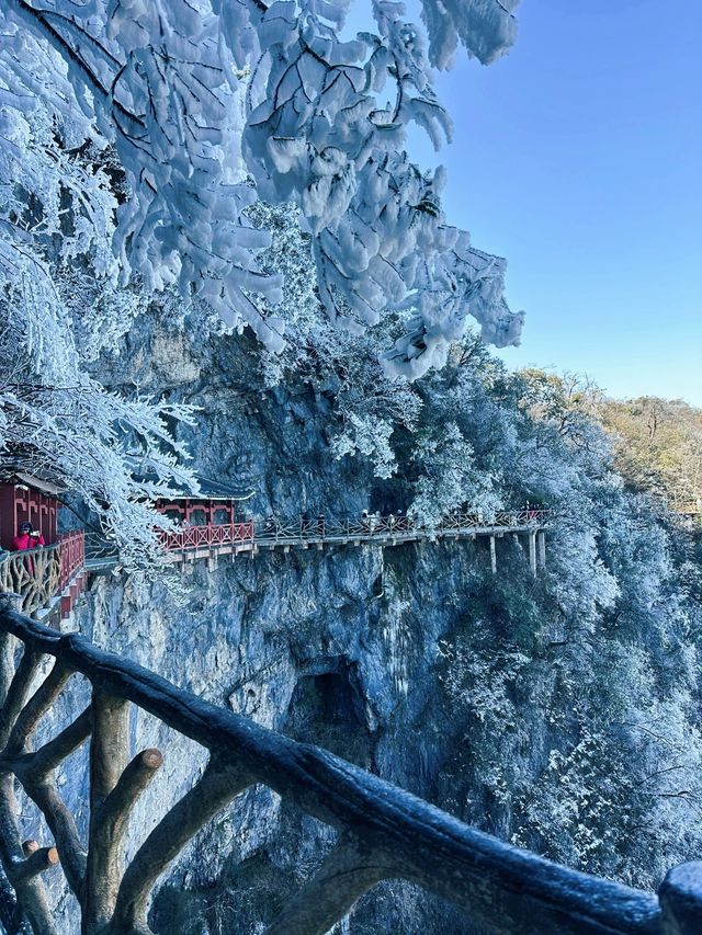 張家界旅遊｜終於找到不踩的攻略