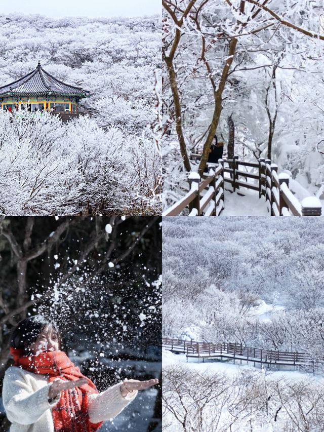 不是日本去不起，而是免簽濟州島太有性價比