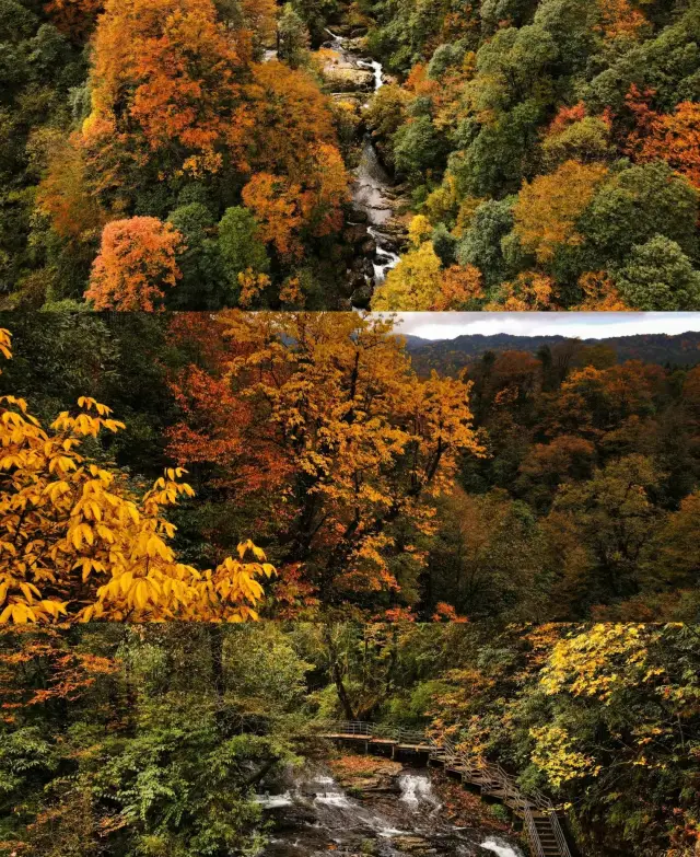 Around Chengdu| The way to open late autumn is the Colorful Forest Hot Spring