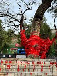 來濟南一定要去千年古剎—大靈巖寺