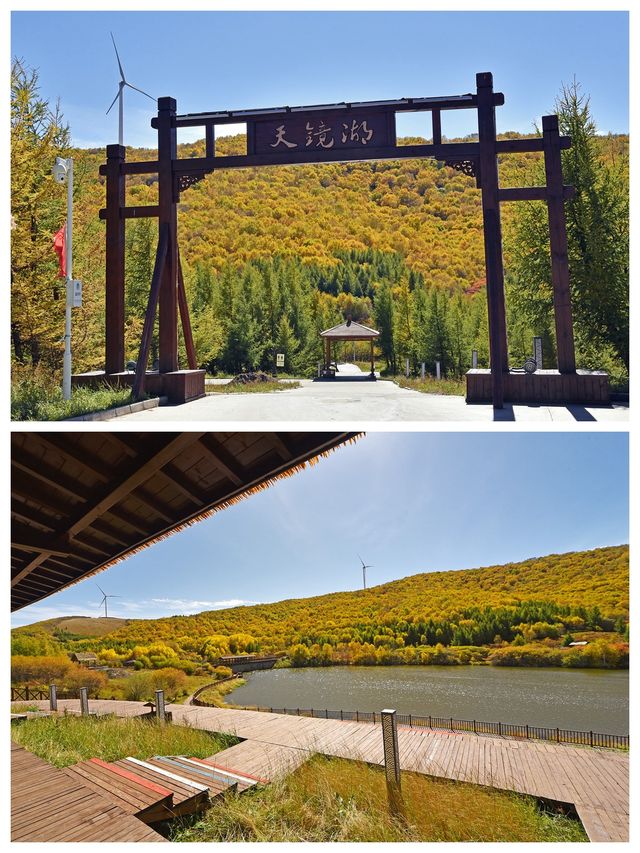 與小鹿羊駱共進餐，七彩森林賞秋景，還有多彩的體驗