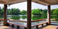 “滬東小西湖”——楊浦公園
