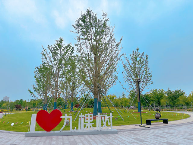 九棵樹（上海）未來藝術中心，上海文藝新地標！