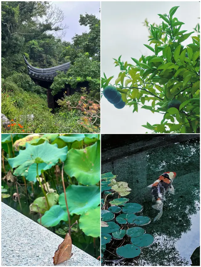 逆向旅行｜乾隆が四度訪れたが忘れられた江南の庭園