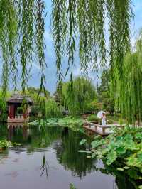 蘇州這9座風景雅致的園林你一定要來逛逛呀