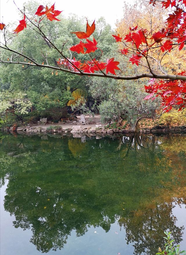 古漪園 -上海五大古典園林之一