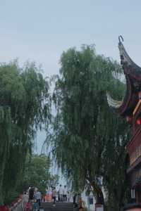 上海City Walk七寶老街值得去逛逛嗎