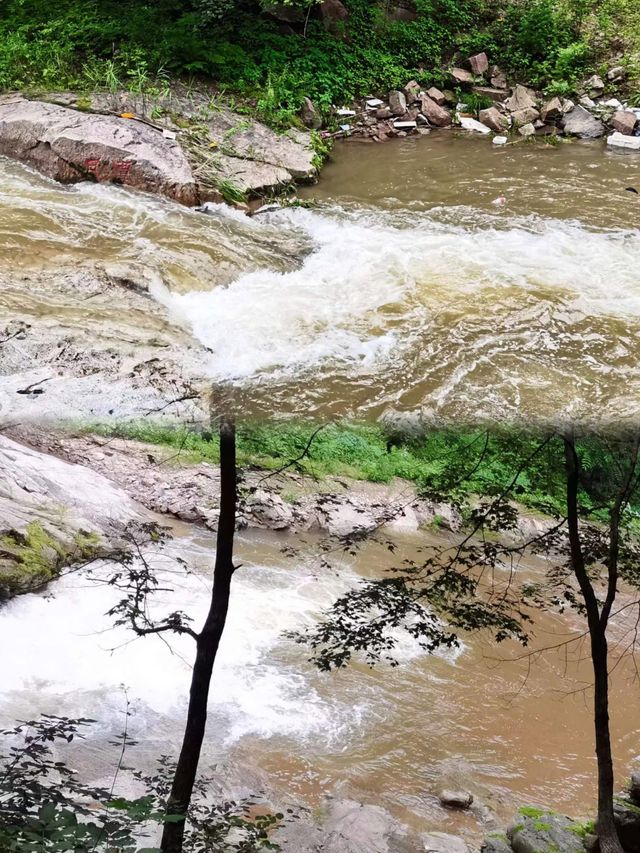 踏入原始森林，遊山玩水好地方 ‖ 玉龍溪大峽谷