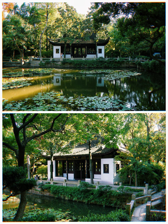 前往「曲水園」必知的18件事｜上海五大古典園林之一