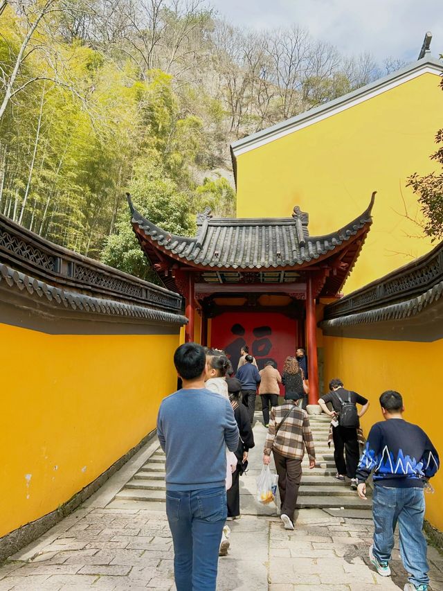 新昌大佛寺祈福南街碳水王國逛吃|||